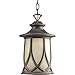Progress Lighting P6404-122 Resort Outdoor, Copper