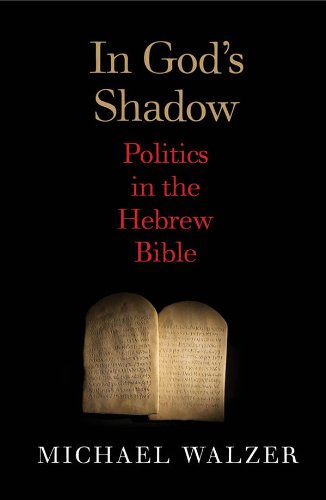 In God's Shadow: Politics in the Hebrew Bible