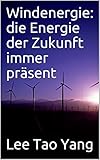 propellerblatt deko  Windenergie: die Energie der Zukunft immer präsent