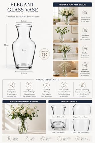 Image of AAMU Moon Glass Flower Vase, 7.5 Inch Clear Decorative Vase for Fresh Flowers, Money Plant, Floral Arrangements & Home Decor, Potpourie for Living Room, Dining Table, Office & Gifting (Pack of 4)