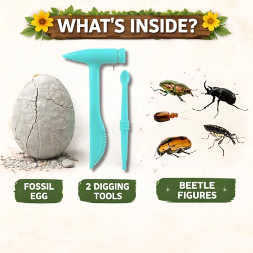 Image of Apex Beetle Fossil Dig Kit for Kids 5+ | STEM Archaeology Excavation Toy with Hammer & Chisel | Science Discovery Learning Kit | Educational Gift