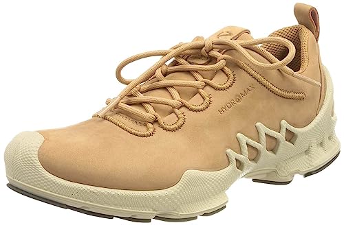 Image of ECCO Sport Biom AEX LX