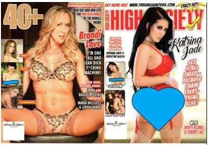 (10 Pack) - Sexy Beautiful Women (18+) magazines      Staple Bound – January 1, 2023