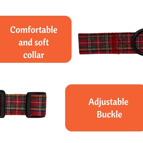Image of Emily Pets Dog Collar with Safety Locking Buckle, Adjustable Soft Breathable Comfortable Nylon Pet Collar for Small, Medium Dogs & Cats (Color May Vary)
