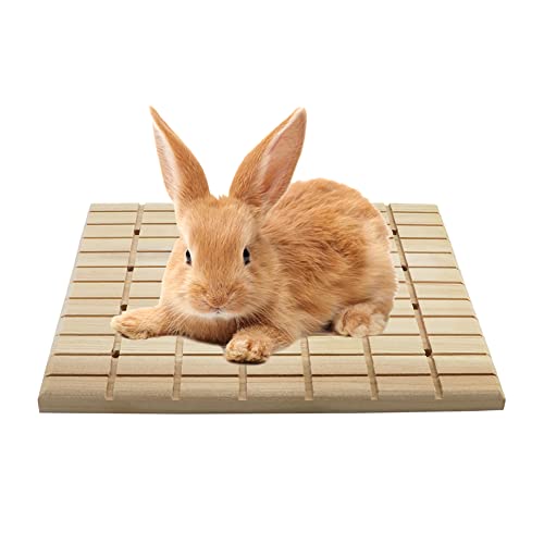 Image of Litewoo Rabbit Scratch Board Claws and Teeth Care Chew Toys Bunny Wood Pad