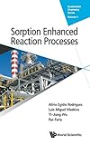 Sorption Enhanced Reaction Processes (Sustainable Chemistry Series)