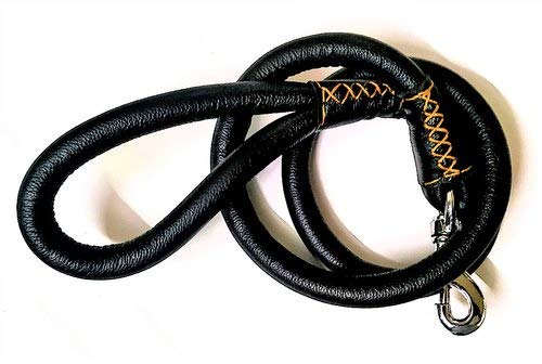 Sherry Enterprises Durable Rope Training Leash for Small, Medium & Large Sized Dogs, with Strong Brass Hook Multi Size & Multi Colored-1.41 Meter (B08BRW3N4B) Amazon Price History, Amazon Price Tracker