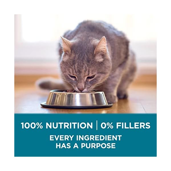 Purina ONE Dry Cat Food, Salmon & Tuna Flavor, 16-Pound Bag by – Bild 8