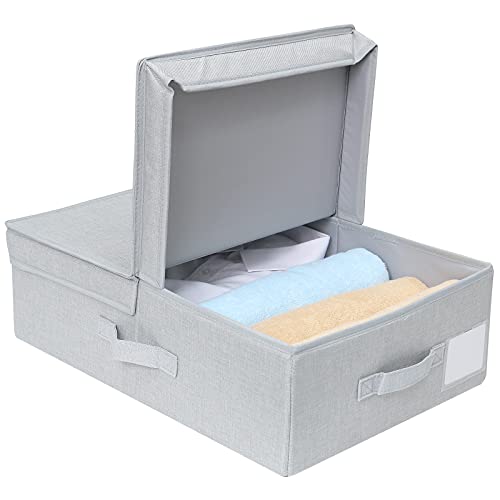 Amonsen Armario Plegable Cubo de Almacenamiento Plano con Tapa, Especial para Organizador de Espacio Delgado, Gris Claro