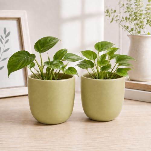 Image of ecofynd 5 Inch Ceramic Plant Pots with Drainage Hole, Modern Decorative Clay Flower Pots for Indoor Plants, Home Garden Decor for Living Room, Bedroom & Interior Spaces (Pack of 2, CPOT041-LGN)