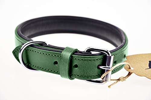 Schnüffelfreunde Halsband für Hunde aus Leder, Hundehalsband für den großen, mittleren und kleinen Hund, Lederhalsband gepolstert, robust (L - 36-45cm, Grün)
