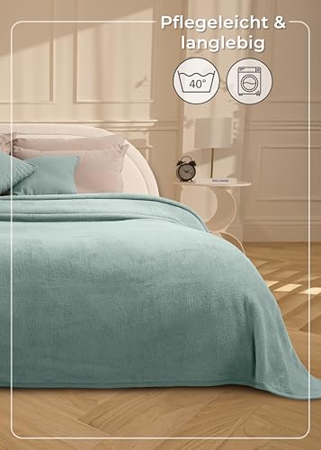 LAYNENBURG Premium Baumwolldecke 150x200 cm - Oeko-TEX 100 - Baumwollmix Kuscheldecke - Decke als Wohndecke, Sofa-Decke & Couchdecke - Wolldecke kuschelig-warm aus Baumwolle (mintgrün)