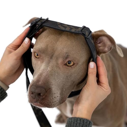 VITOMALIA® 1,5m Lange Gepolsterte Retrieverleine mit Zugstopp - 3cm breite Moxonleine für große & kleine Hunde, Sicherheitsorientiert, Langlebig & Komfortabele Moxon (Camouflage)