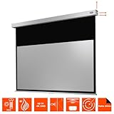 Celexon Rolloleinwand Professional Plus 280 x 158 cm - 4