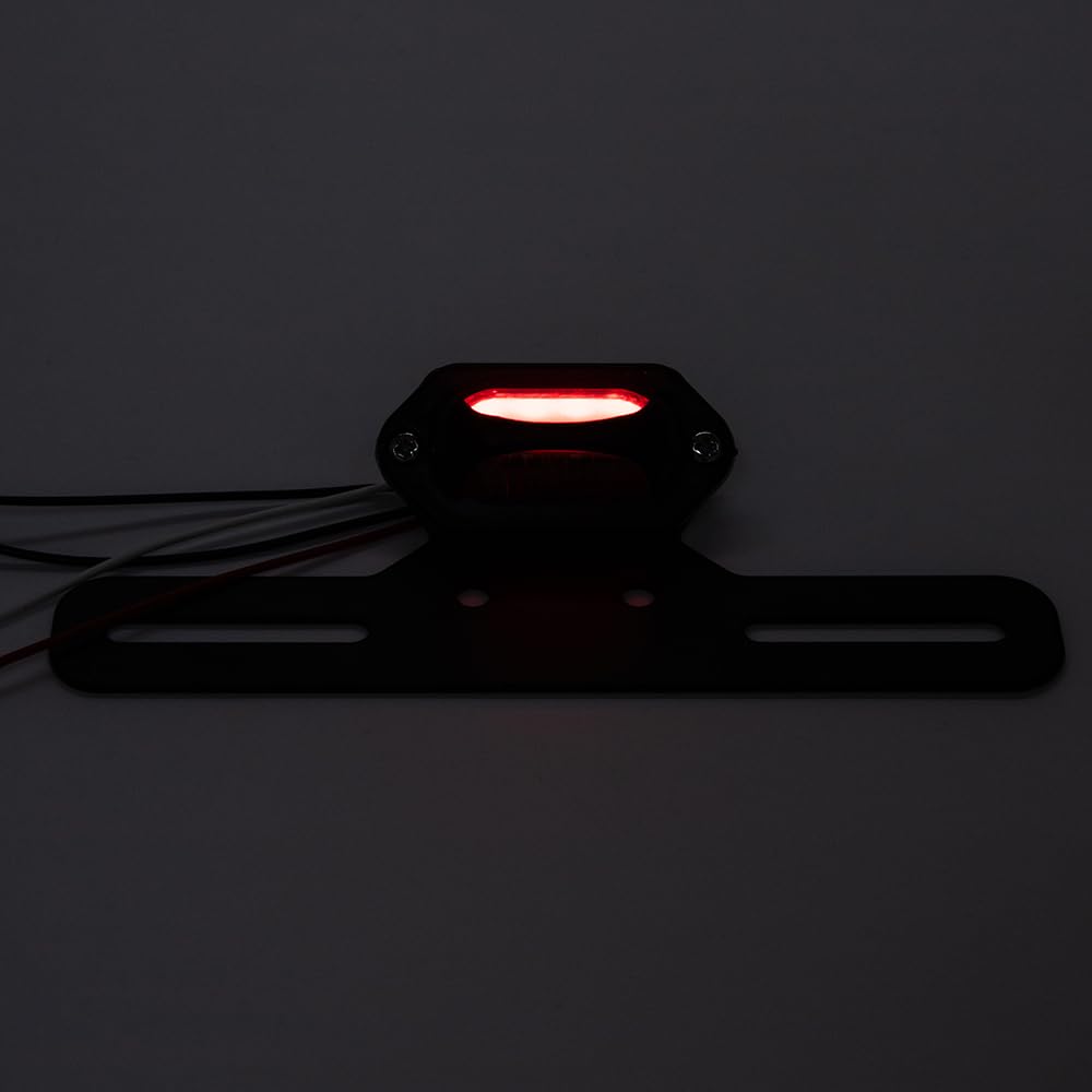Faro Posteriore Moto con Supporto Fanale Posteriore Moto LED Fanale Stop Omologato E24 Compatibile con Street Cruiser Chopper Cafe Racer