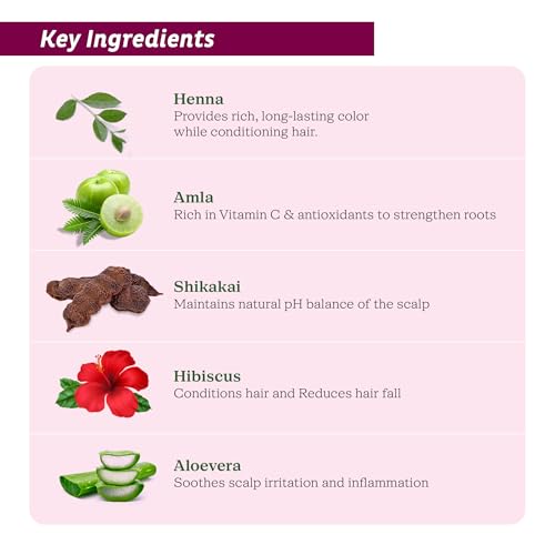 Image of Dulhan Burgundy Red Henna Based Hair Color, 10 g (Pack of 10)