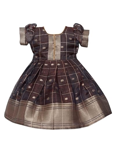 Image of PW PLATYPUS WORLD Baby Girls Ethnic Frock Dress for Kids| Traditional Festive Birthday Outfit | Baby Girls Lehenga Choli