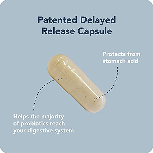 Vitamin Bounty Pro-50 Probiotics And Prebiotic Fiber Digestive Support - Prebiotics And Probiotics For Women And Men, Gut Probiotics, Probiotics For Digestive Health - Bundle #TOP5