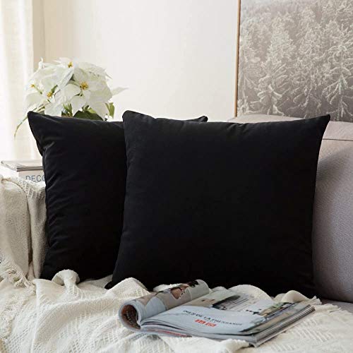 MIULEE Lot de 2 Housse de Coussin en Velours Décoratif Canapé Taie d'oreiller Super Doux...
