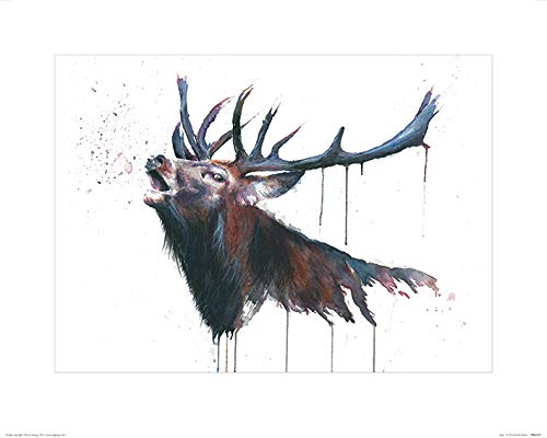 The Art Group Sarah Stokes (Roar) -Art Print 40 x 50cm, Paper, Multicoloured, 40 x 50 x 1.3 cm