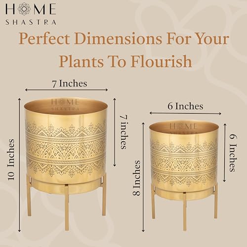Image of Raaga Gold Metal Planters with Stand | Pack of 2 | Big Planter - 10 Inch (Height) 7 inch (Diameter) | Small Planter - 8 Inch (Height) 6 inch (Diameter) Planters for Living Room