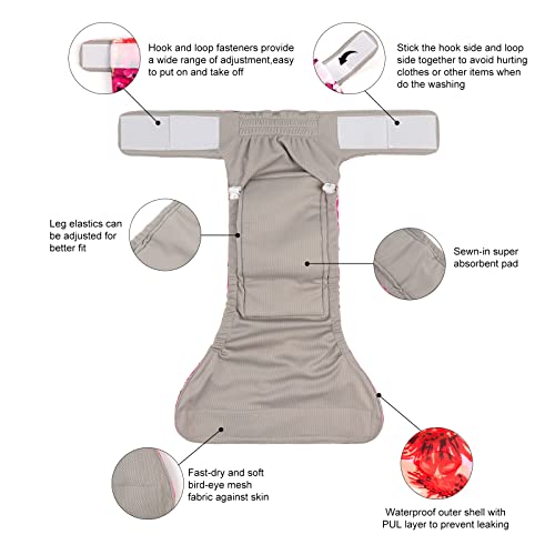 Image of CuteBone Washable Dog Diapers Female No Tail Hole 3 Pack Reusable Doggie Period Training Pants for Docked-Tail Frenchie French Bulldog Boston Terrier Without Tail WWD02L