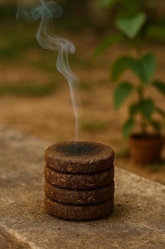 Image of Puja Ghar Pure & Original Desi Cow Dung Cake /uple /kande | Pack of 10 | Natural Holy Cow Dung for Pujan, Hawan & Religious Ceremonies | Round 3 Inch, Eco-Friendly, Smokeless Spiritual Fuel