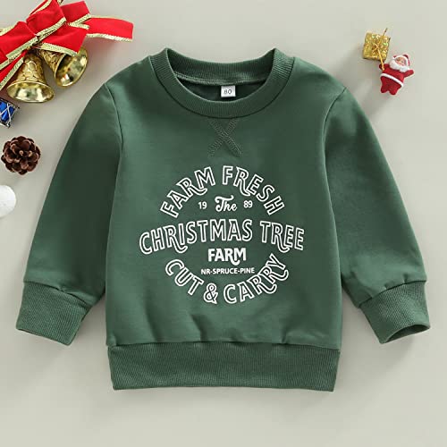 Image of Baby Boy Girl Pumpkin Sweatshirt Tops Toddler Halloween Outfit Long Sleeve Crewneck Pullover Sweater Shirt Fall Clothes