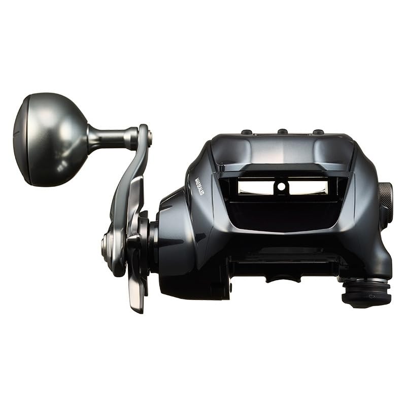 Amazon.com : Daiwa Sea Borg 400J Electric Reel : Sports & Outdoors