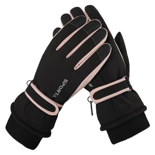 LANWHO O[u AEghA  hEhEX}zΉEN  fB[X g h ~ ΍  ~ XL[ X|[c oR TCNO ʋ ʊw