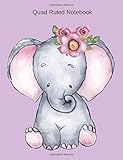 quad school summer camp  Quad Ruled Notebook: Baby Elephant Notebook Graph Paper Journal - Soft pink purple cover - Back To School Quad Ruled 4 x 4 Grid Paper for Science and Math Students 7.44\" x 9.69\" 100 pages - 200 sheets
