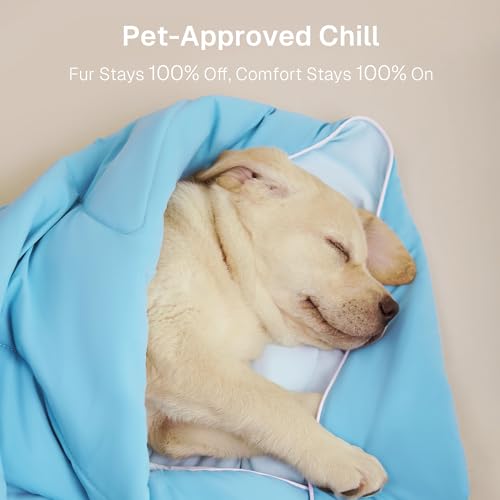 Cooling Blankets for Hot Sleepers - Summer Blanket Thin Lightweight Breathable Soft Double Side with Bag for Travel, Cooling Comforter for Couch Sofa, Keep Cool for Night Sweats (Blue 50"x60"