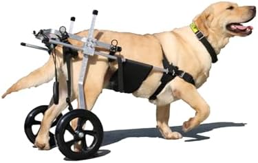 2 Ruedas Ajustable Perro Gato Mascota Anciano Scooter Silla De Ru...