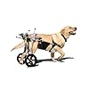 Yinian 2 Ruote Regolabile Cane Gatto Animale Domestico Anziano Carrello di Alimentazione Arti Posteriori Scooter Animale Disabile Reinserimento Carrelli per Cani Grandi(Size:XL（20-30kg）)