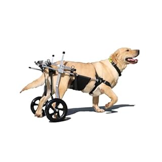 Yinian 2 Ruote Regolabile Cane Gatto Animale Domestico Anziano Carrello di Alimentazione Arti Posteriori Scooter Animale Disabile Reinserimento Carrelli per Cani Grandi(Size:XL（20-30kg）)