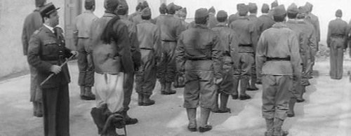 Dive into Fun with Tire Au Flanc: Your Ultimate Army Game Review!