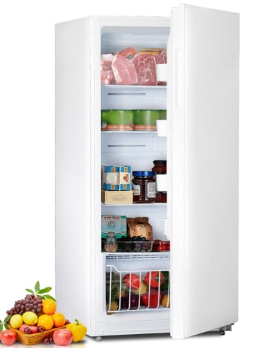 Smad 21 Cu.Ft. Upright Freezer, Convertible Refrigerator Freezer with LED Control Panel, Door Ajar Alarm, Stand Up Frost Free Freezer for Garage, Kitchen, Home, Office, Stainless Steel
