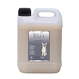 chihuahua pelo curto PELO SUAVE Y SANO: Nuestro champú para perros chihuahua cuenta con un extra de hidratación para que el pelo de tu perro luzca sano, suave y brillante. ¿Cómo lo hacemos? Le añadimos Vitamina D-Pantenol que nutre la raíz del cabello y reduce la caída del pelo, glicerina natural para proporcionar humectación, agentes acondicionadores para dar suavidad y facilitar el peinado, dermoportectores para evitar la irritación y la caspa, y perfumes de primera línea de fragancias que dejan un aroma duradero.