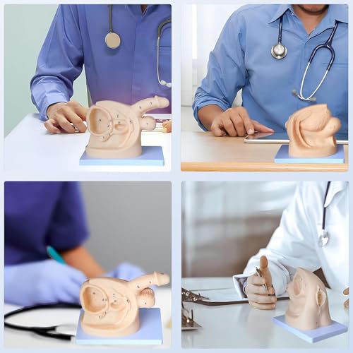 Cathéter génital masculin féminin AMITD mannequin simulation infirmière