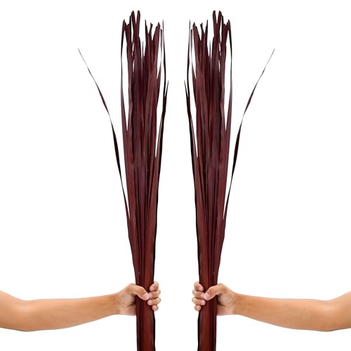Image of Leewadee Tall Vase Filler , Dried Palm Leaves - 2 Bunches of Colored Decor for Floor Vases, Naturally Dried Arrangements for Vintage Or Modern House Decor, 45 inches, Bordeaux