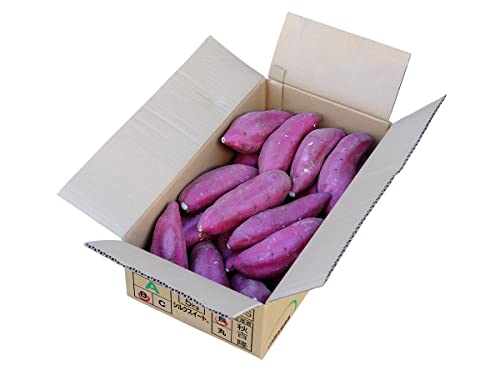 󂠂Eƒp F{YiJAhj܂ VNXC[g B LTCY 5kgi15`24{Oj