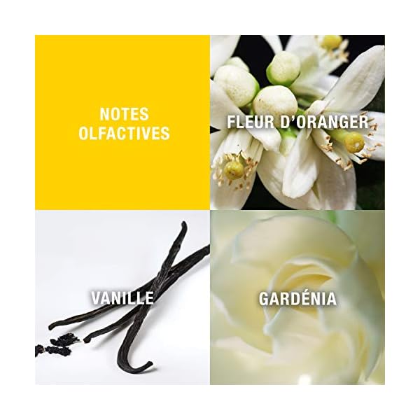 Giorgio Beverly Hills Women's Perfume, Eau De Toilette EDT Spray, 3 Fl Oz