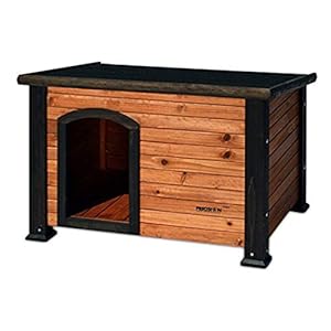 Outdoor Dog Shelter
