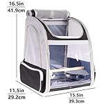 Bird Backpack Carrier with Stand Perch, Bird Travel Backpack for Hiking, Airline Approved Green Bird Backpack - Image 2