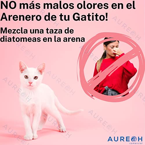 Tierra Y Fertilizantes, Home Imagen adicional