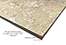 Tenedos 12x12 Tuscany Classic Travertine Natural Stone Tile for Floor, Wall, Bathroom, Kitchen, Pool Use – 0.38