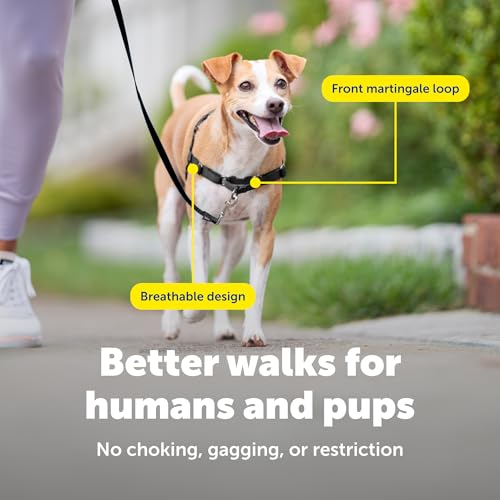 PetSafe Easy Walk No-Pull Dog Harness - Ultimate Harness to Help Stop Pulling - Pull-Free Walks - Take Control & Teach Better Leash Manners - Patented Martingale Loop Design - Black, Small by PetSafe - Image 4
