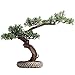 Symulacja rośliny doniczkowe bonsai drzewo sztuczna sosna bonsai ceramiczna doniczkowa zielona roślina doniczkowa ozdoba nadaje się do domu biura regał na książki salon dekoracja sztuczna roślina zieleń dekoracja na biurko