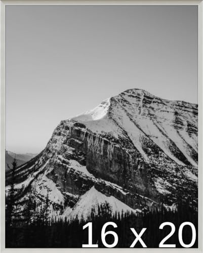 Frame It Easy 16 x 20 Gloss Silver Metal Frame (Ashford)