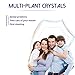 20ml of Mint Breath Mist Sprays - 0.7 Ounce (20mL)-Sugar Free-pH Balanced - Made in an CNA Audited PRC Facility
